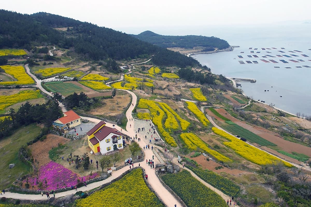 청산도 슬로길과 바다를 내려다본 풍경